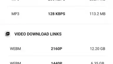 Captura de tela de YVideo Downloader 4