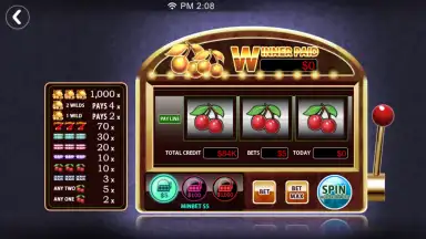 Captura de tela de Dinger Poker 3