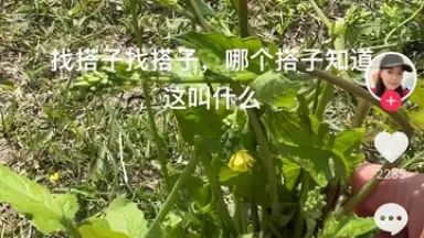 Captura de tela de Douyin Express Edition 1