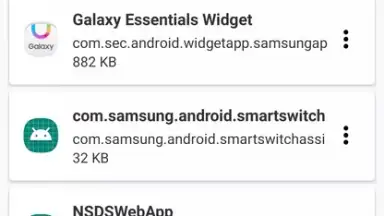 Captura de tela de NSDSWebApp 1