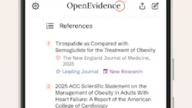 Captura de tela de OpenEvidence 4