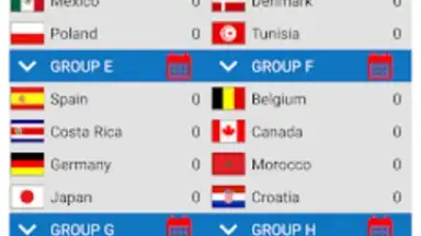 Captura de tela de World Football Simulator 11