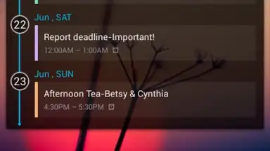 Captura de tela de GO Calendar Widget 5