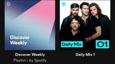 Captura de tela de Spotify Lite 9