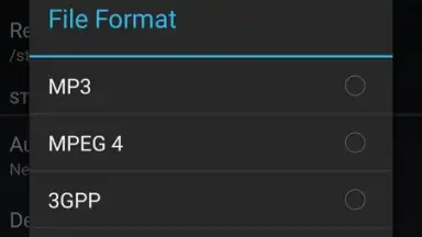 Captura de tela de MP3 Call Recorder 3