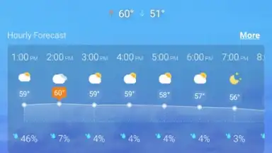 Captura de tela de Local Weather Widget 1