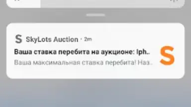Captura de tela de SkyLots: аукцион и маркетплейс 1