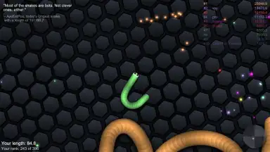 Captura de tela de slither.io 2