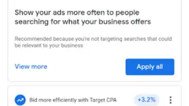 Captura de tela de Google Ads 3
