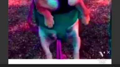 Captura de tela de Motion Ninja 3