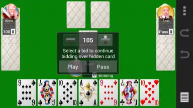 Captura de tela de Collection of card games 5