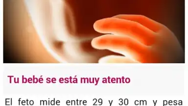 Captura de tela de Semanas Embarazo 6