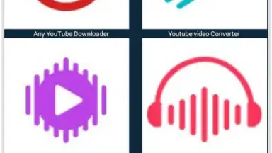 Captura de tela de Any Video Downloader 1
