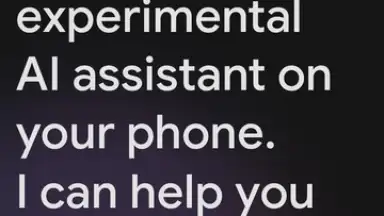 Captura de tela de Google Gemini 1