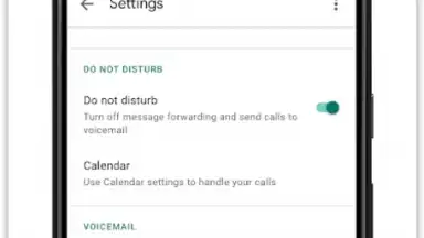 Captura de tela de Google Voice 1
