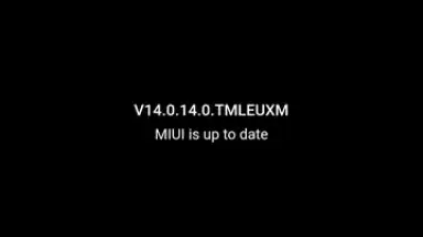 Captura de tela de HyperOS Updater 1