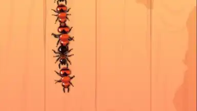 Captura de tela de Ant Smash Game 4
