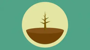Captura de tela de Forest: Stay Focused 4
