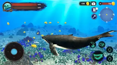 Captura de tela de The Humpback Whales 15