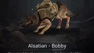 Captura de tela de Undead Unlimited 4