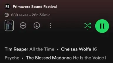 Captura de tela de Spotify 29