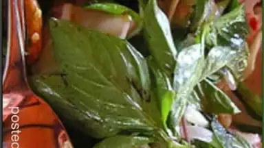 Captura de tela de ThaiFood 8