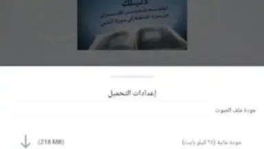 Captura de tela de منطوق - كتب صوتية 18