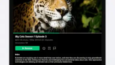 Captura de tela de VidHub 16