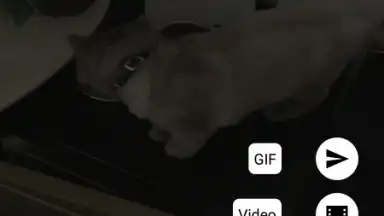 Captura de tela de Motion Stills 4
