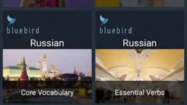 Captura de tela de Bluebird Russian 8