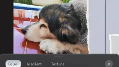 Captura de tela de ProCCD 9