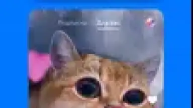 Captura de tela de VK Clips 2