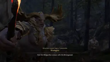 Captura de tela de Legend of Ymir (KR) 3