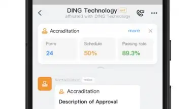 Captura de tela de DingTalk 2