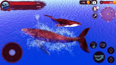 Captura de tela de The Humpback Whales 6