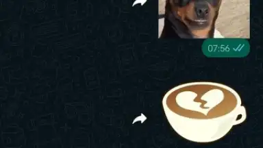 Captura de tela de WhatsApp Messenger 12