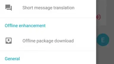 Captura de tela de Youdao Translate 1