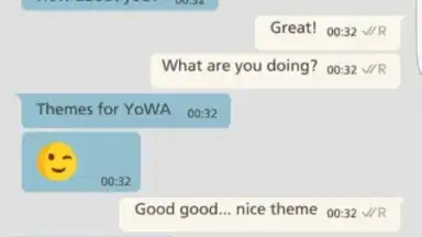 Captura de tela de YoWA 13