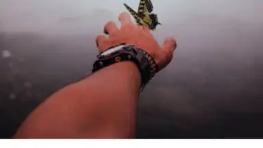 Captura de tela de vimage 6