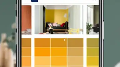 Captura de tela de Dulux Visualizer IN 4