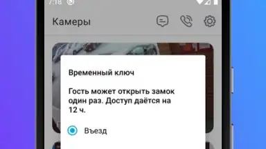 Captura de tela de Росдомофон 8