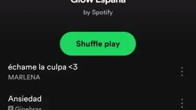 Captura de tela de Spotify Lite 10