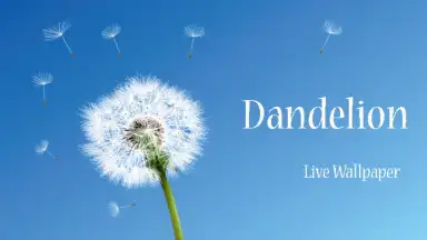 Captura de tela de Dandelion 4