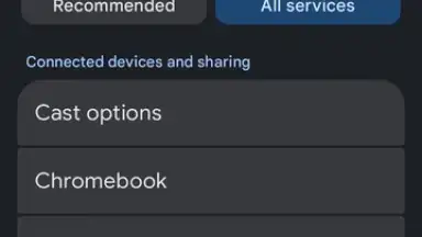 Captura de tela de Google Mobile Services (GMS) 2