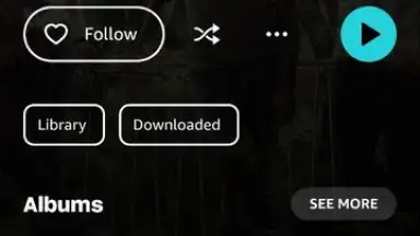 Captura de tela de Amazon Music 6