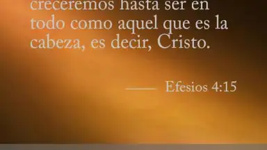 Captura de tela de Biblia Diaria 2