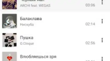 Captura de tela de BiRD - Музыка из ВК 1