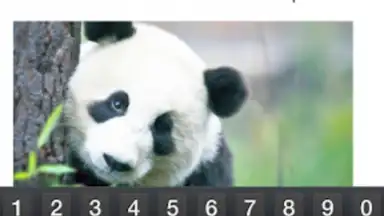 Captura de tela de Microsoft Office Mobile 1