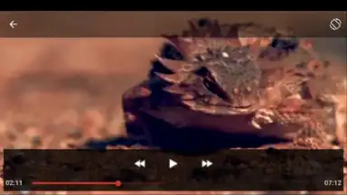 Captura de tela de Youtube Play&Download 5