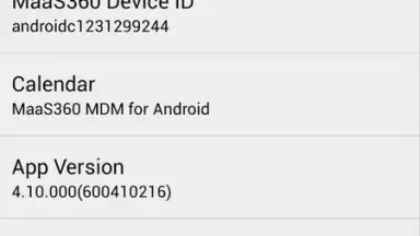 Captura de tela de MaaS360 MDM for Android 4